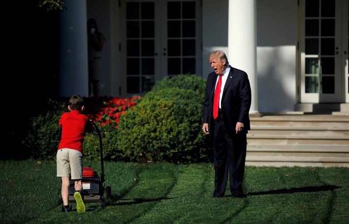 Trump Lawn Mower meme template