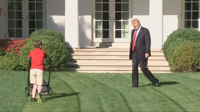Trump lawnmower kid meme template