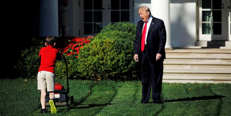 Trump mower meme template