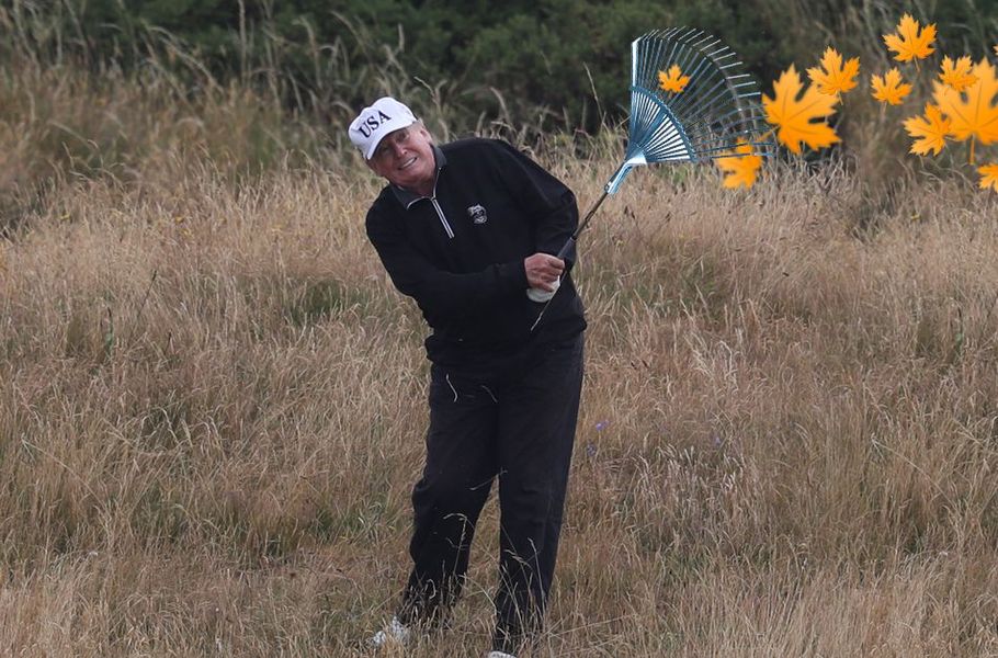 Plantilla de meme Trump raking