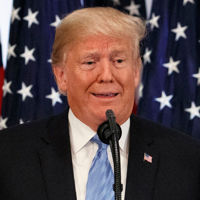 Trump windmill meme template