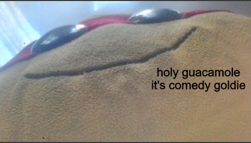 Plantilla de meme turtle holy guacamole