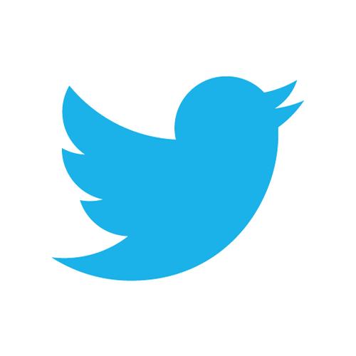 Plantilla de meme Twitter birds says