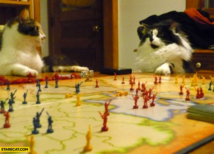 Template meme Two cats playing risk board game silly photo
