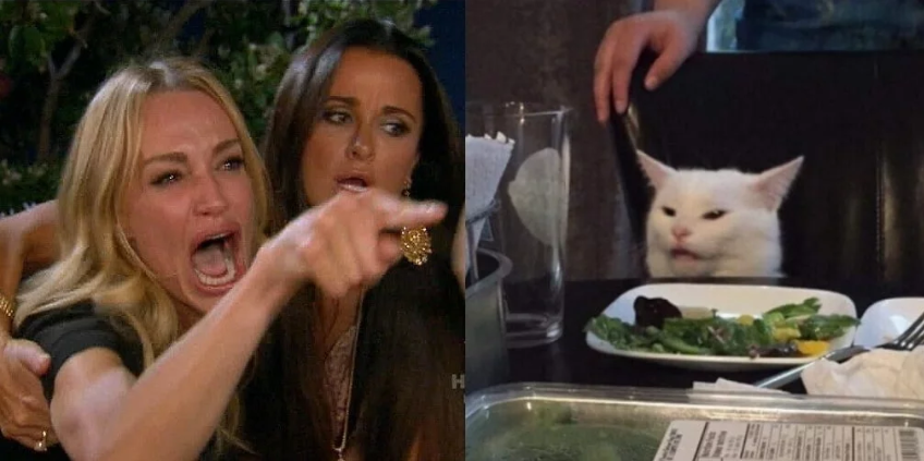 Template meme two girls cat zeeks