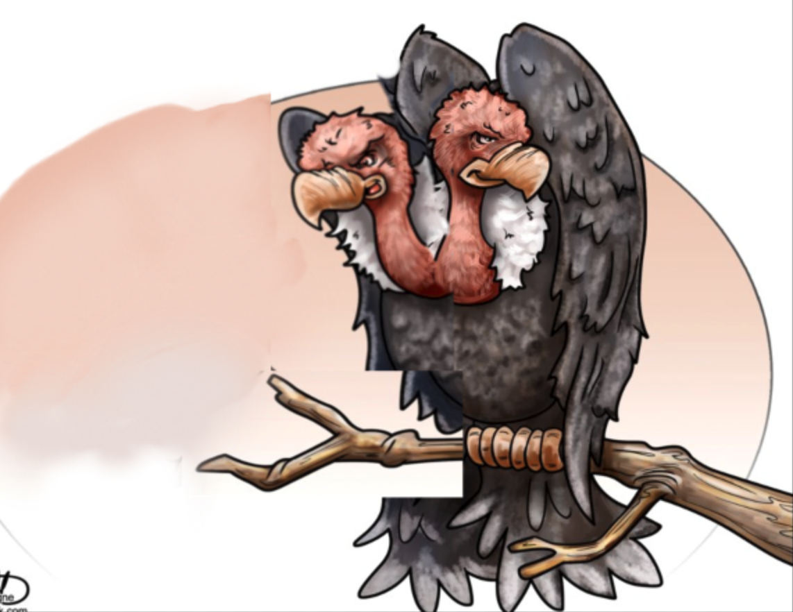 Plantilla de meme Two-headed vulture