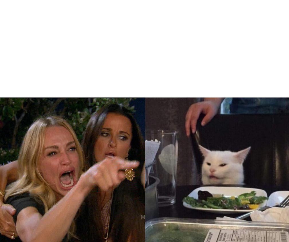 Template meme two woman yelling at a cat