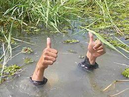 Plantilla de meme underWater