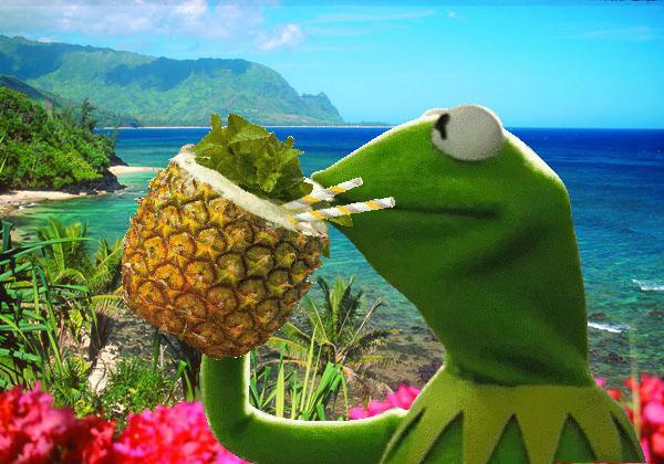 Plantilla de meme vacation kermit
