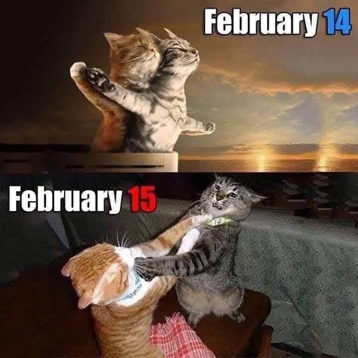 Plantilla de meme Valentine's meme