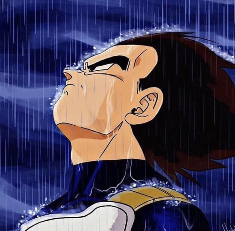 Plantilla de meme Vegeta in the rain