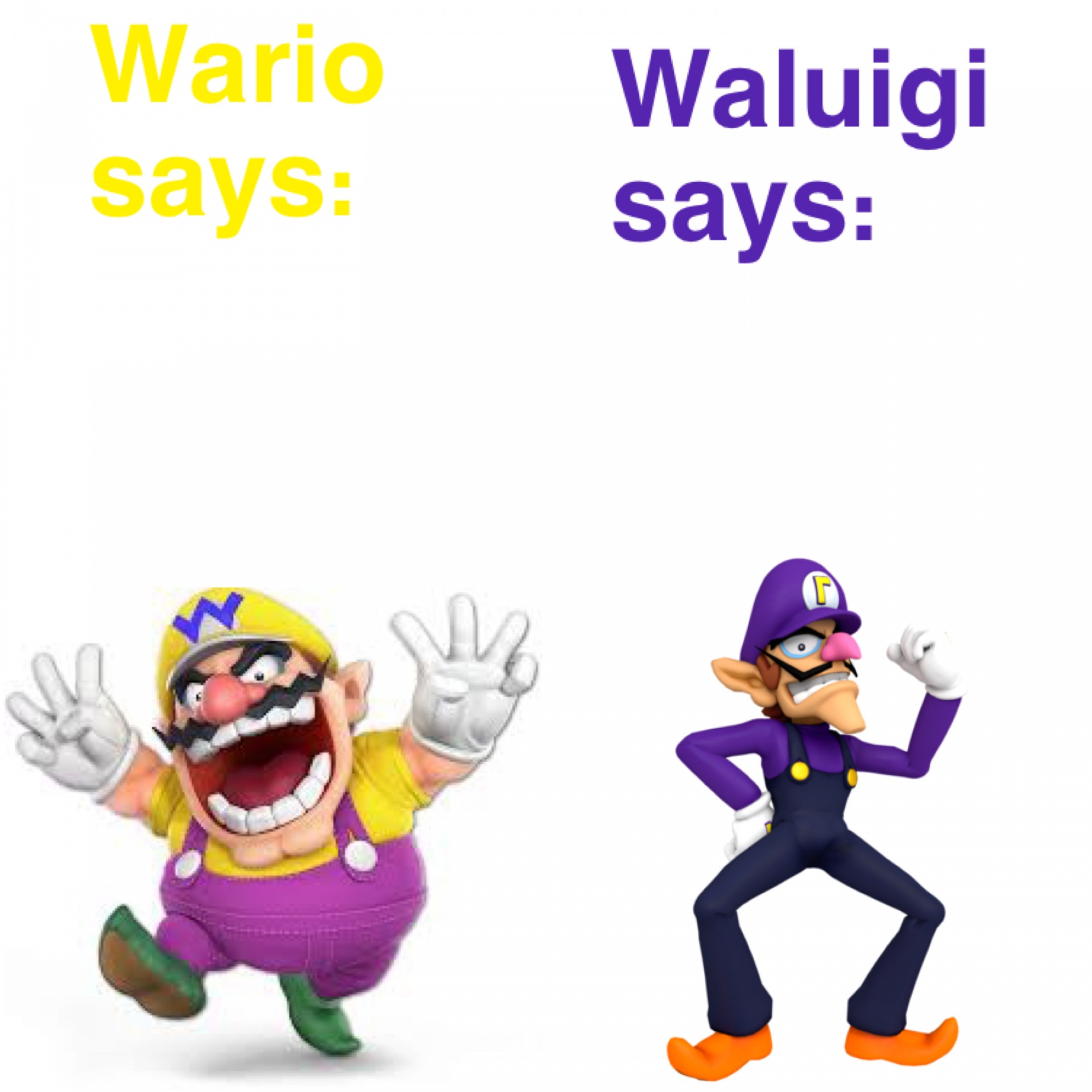 Template meme Views on Wario and Waluigi