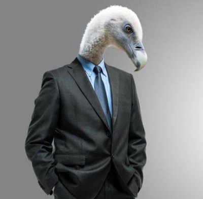 Plantilla de meme Vulture Recruiter