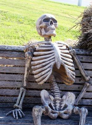 Plantilla de meme Waiting Skeleton