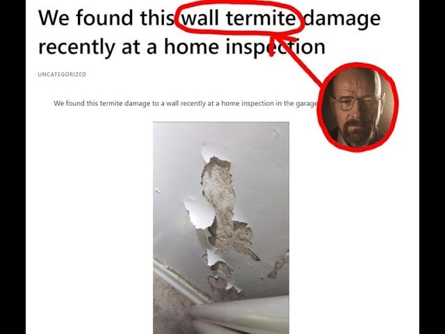 Plantilla de meme Wall termite