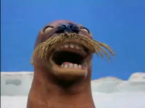 Plantilla de meme Walrus_Pingu