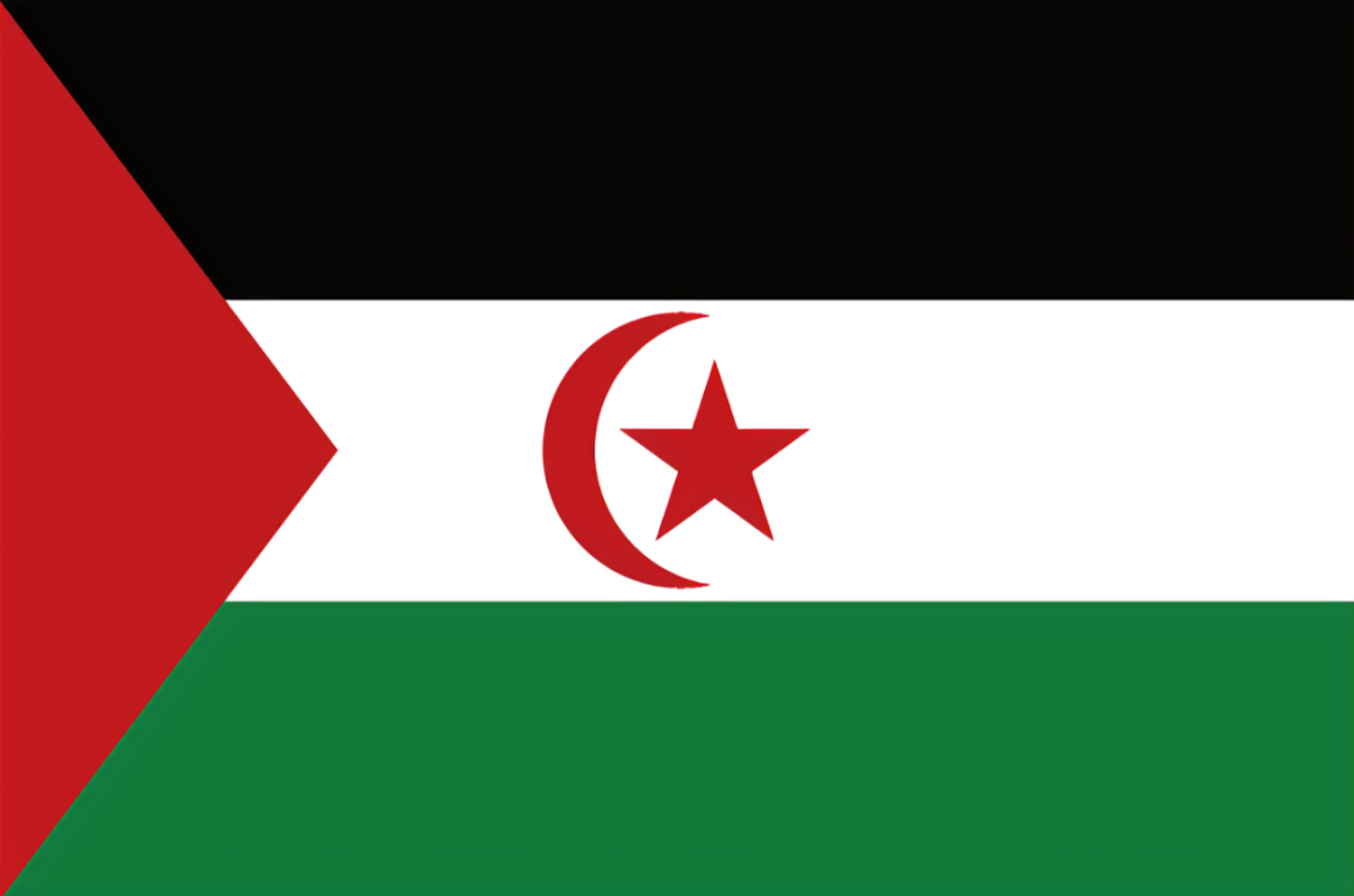 Plantilla de meme Western Sahara flag