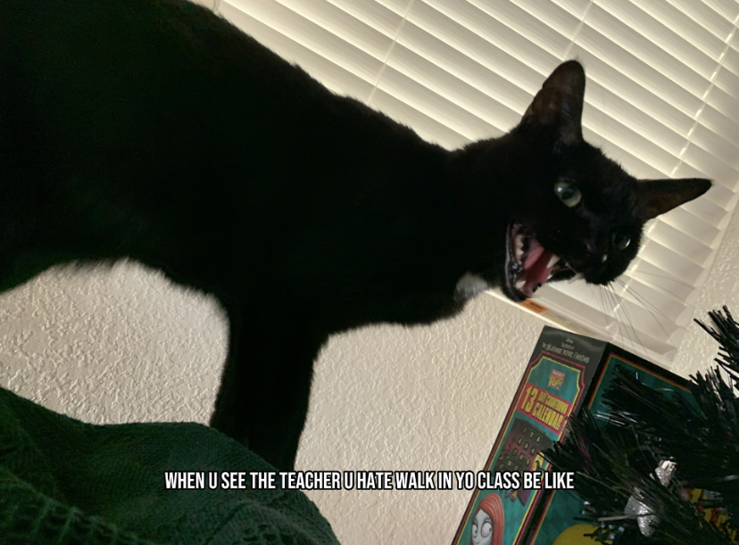 Template meme When u see the teacher u hate walk in yo class be like