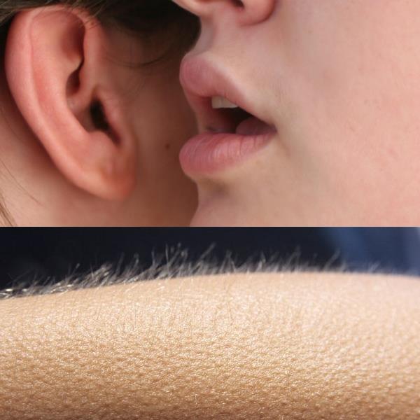 Plantilla de meme Whisper and Goosebumps