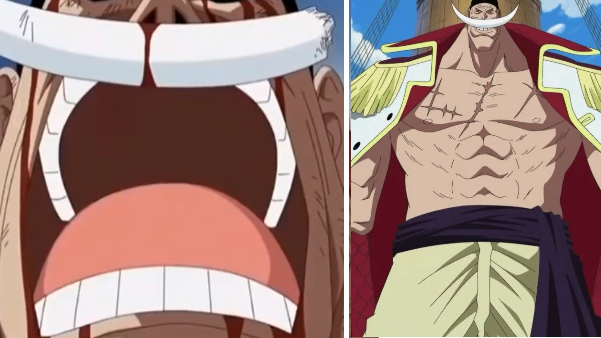 Plantilla de meme whitebeard the one piece is real