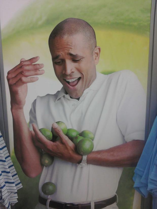 Plantilla de meme Why Can't I Hold All These Limes