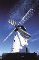Windmill91 meme template