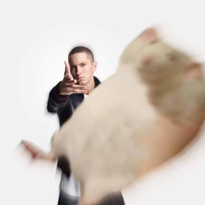 Plantilla de meme Woe Plague Be Upon Ye