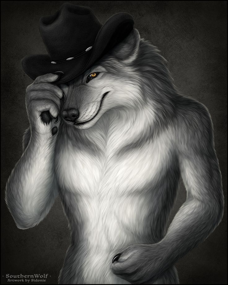 Plantilla de meme Wolf Hat Meme