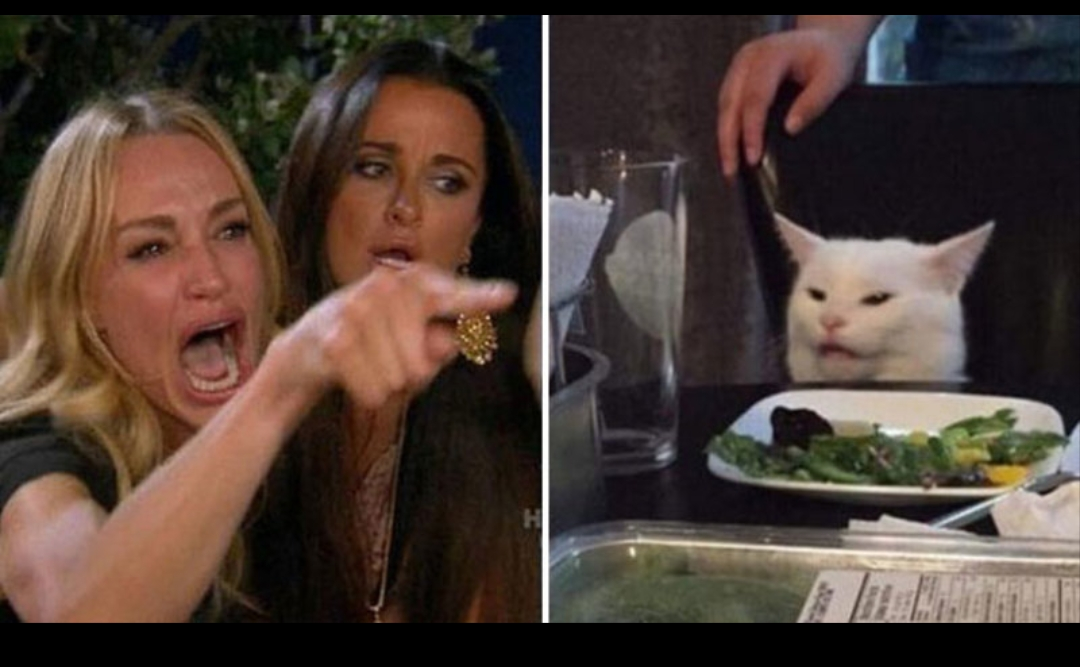 Template meme Woman and cat meme