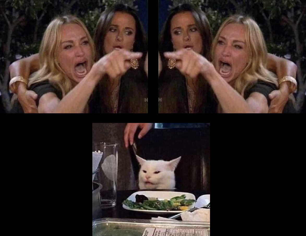 Template meme Woman vs Woman vs Cat