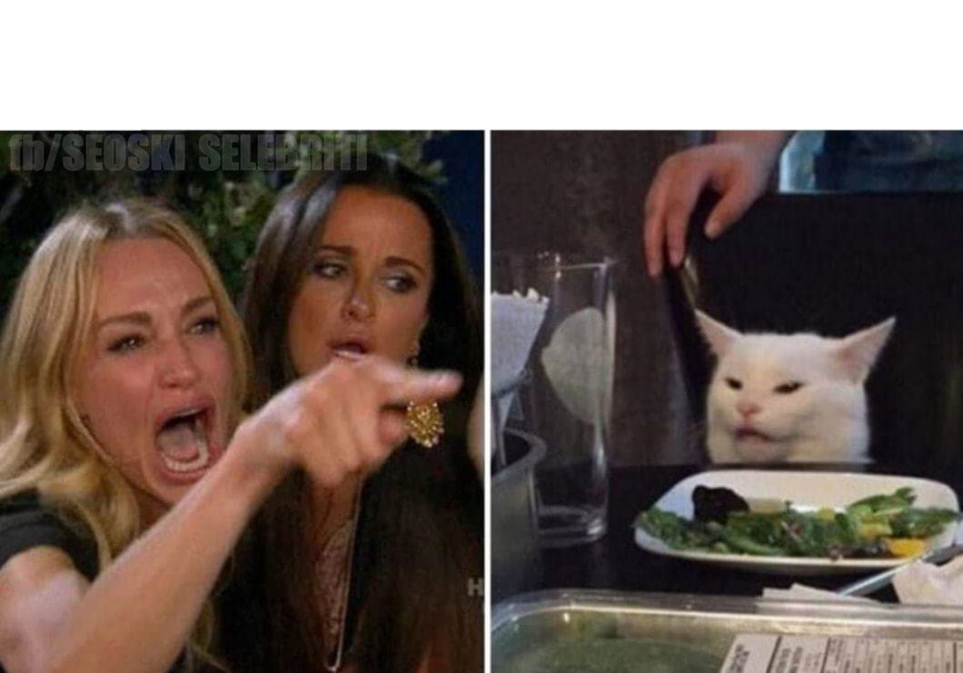 Template meme Woman yelling at a cat