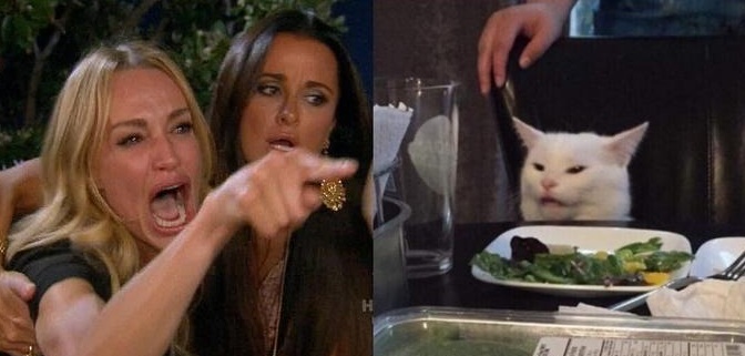 Template meme Woman Yelling at Smudge the Cat