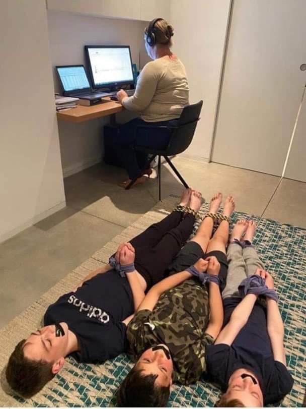 Plantilla de meme Working from home