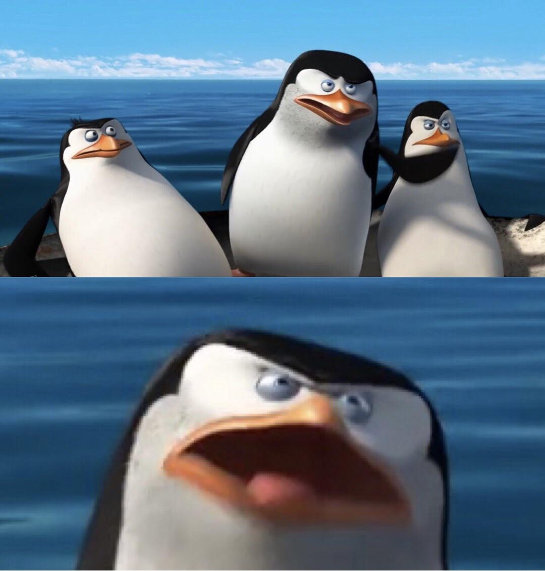 Template meme Wouldn't that make you