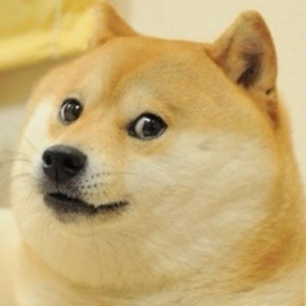 Plantilla de meme wow doge