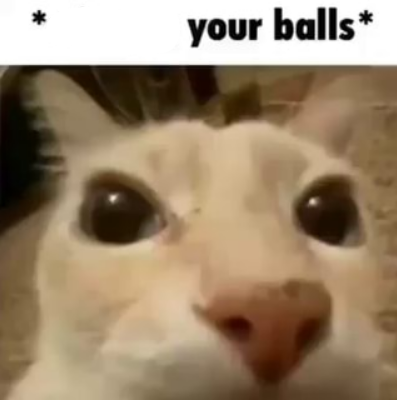 Plantilla de meme X your balls