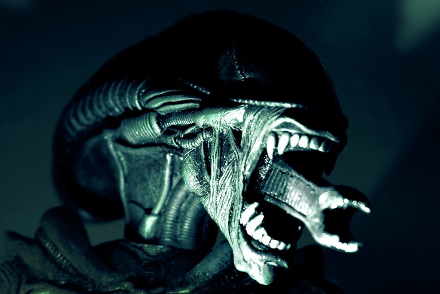 Plantilla de meme Xenomorph Parenting