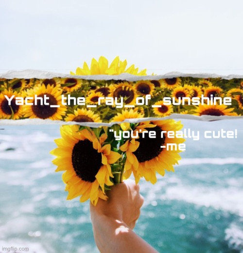 Plantilla de meme yacht's sunflower temp (THANK YOU SUGA)