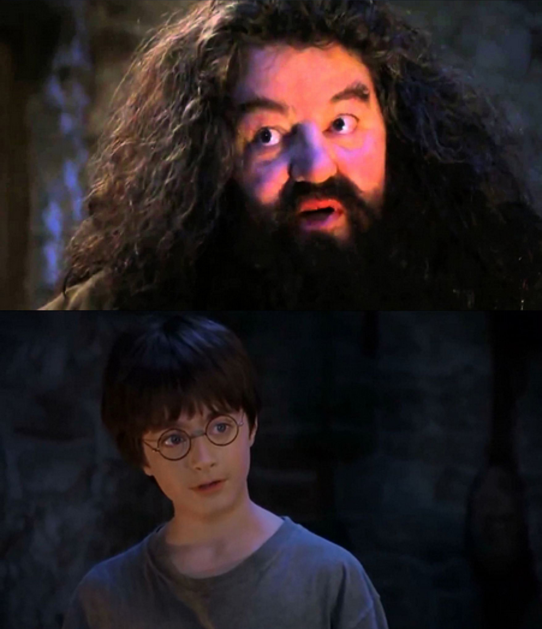 Plantilla de meme You are wizzard harry