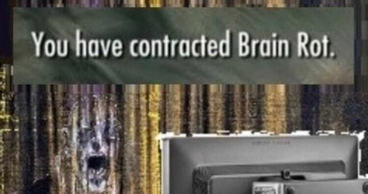 Plantilla de meme You have contracted brain rot