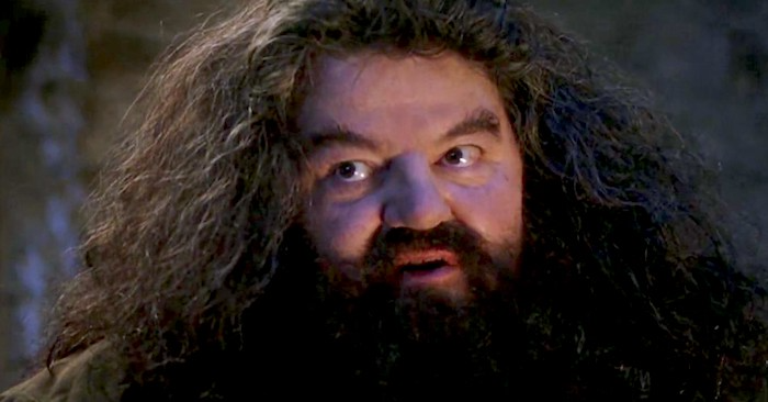 Plantilla de meme You're a wizard