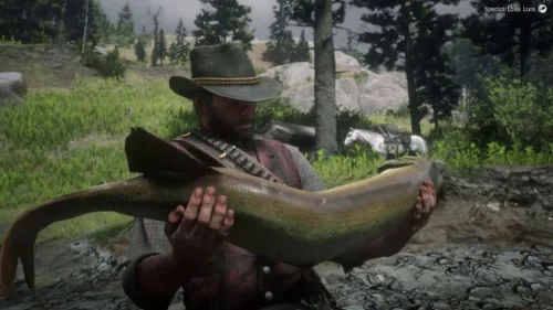 Plantilla de meme you sir are a fish